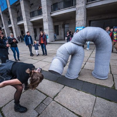Leistungen kopie von camouflage lolla 2022
